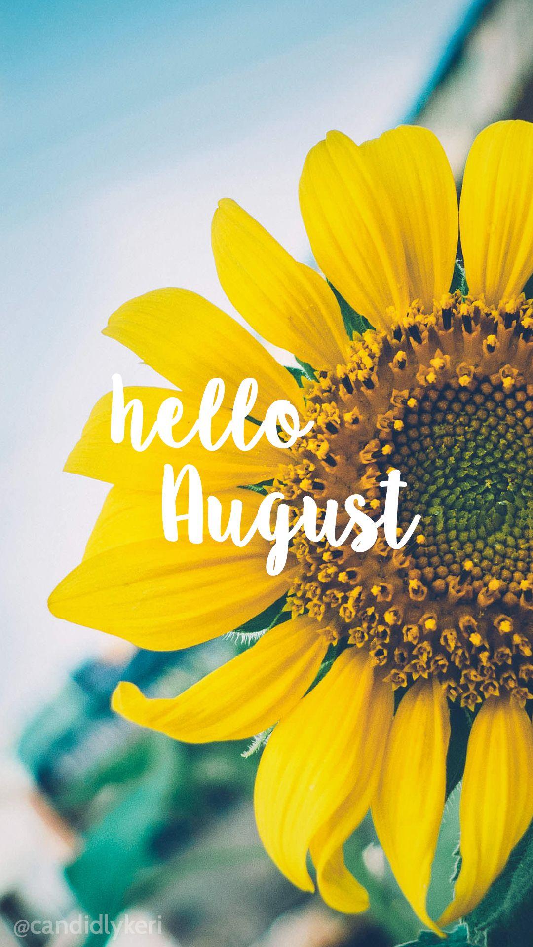 Hello August Sunflower bright happy background August 2016