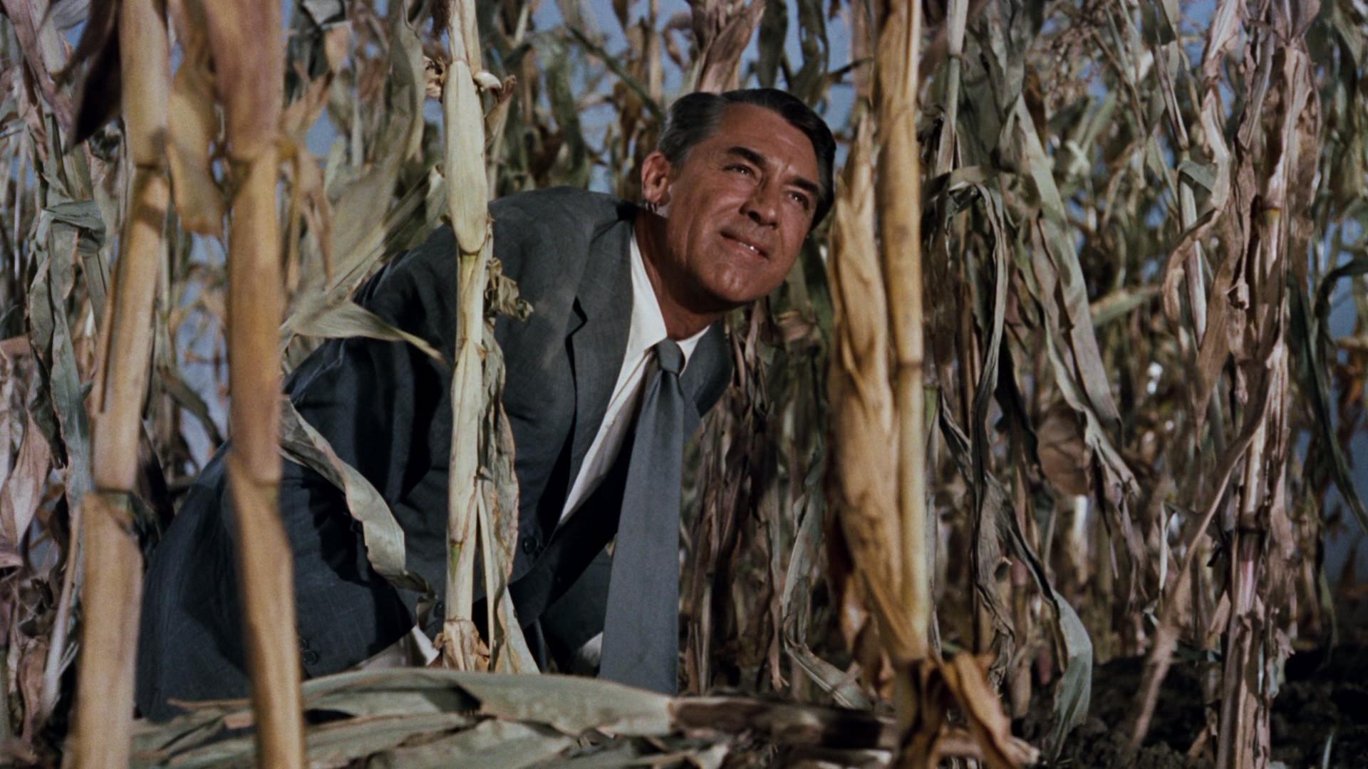 North By Northwest Blu Ray Cary Grant