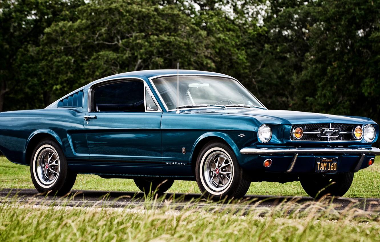 Wallpaper Mustang, Ford, Mustang, Ford, Fastback image