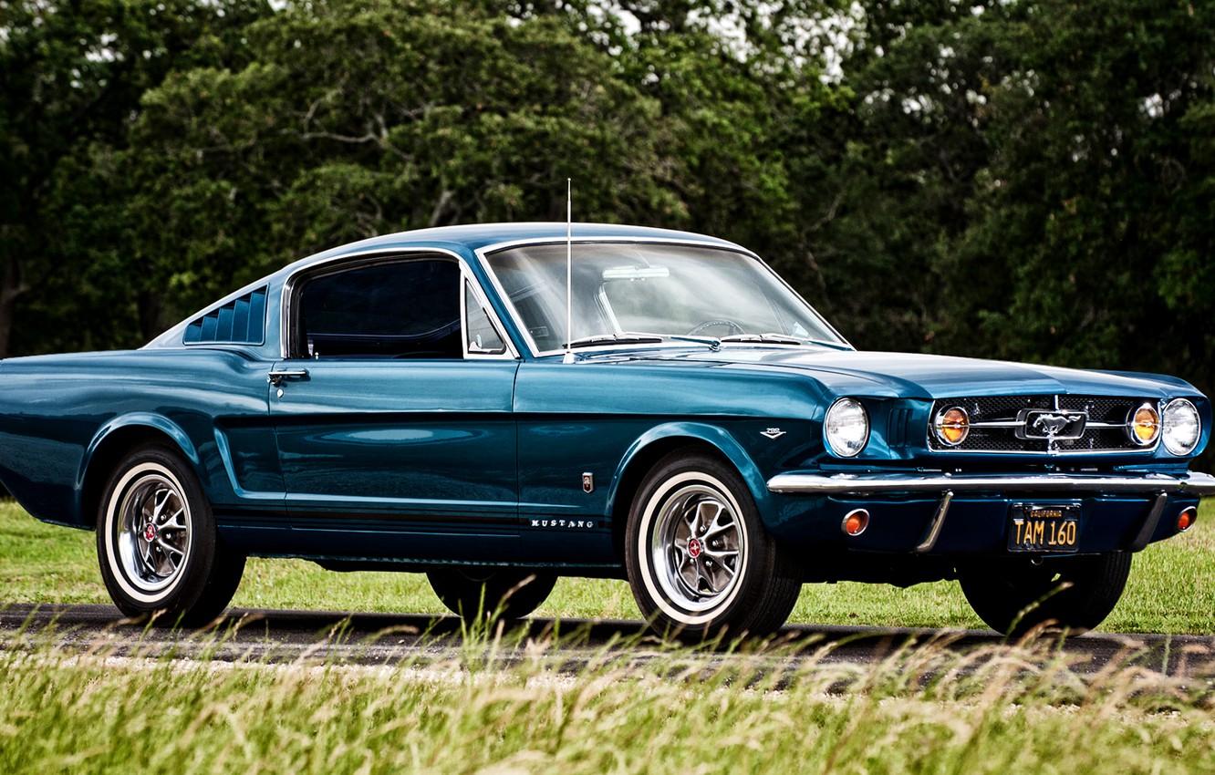 Hd Wallpaper 1965 Cars Fastback Ford Mustang Wallpape - vrogue.co