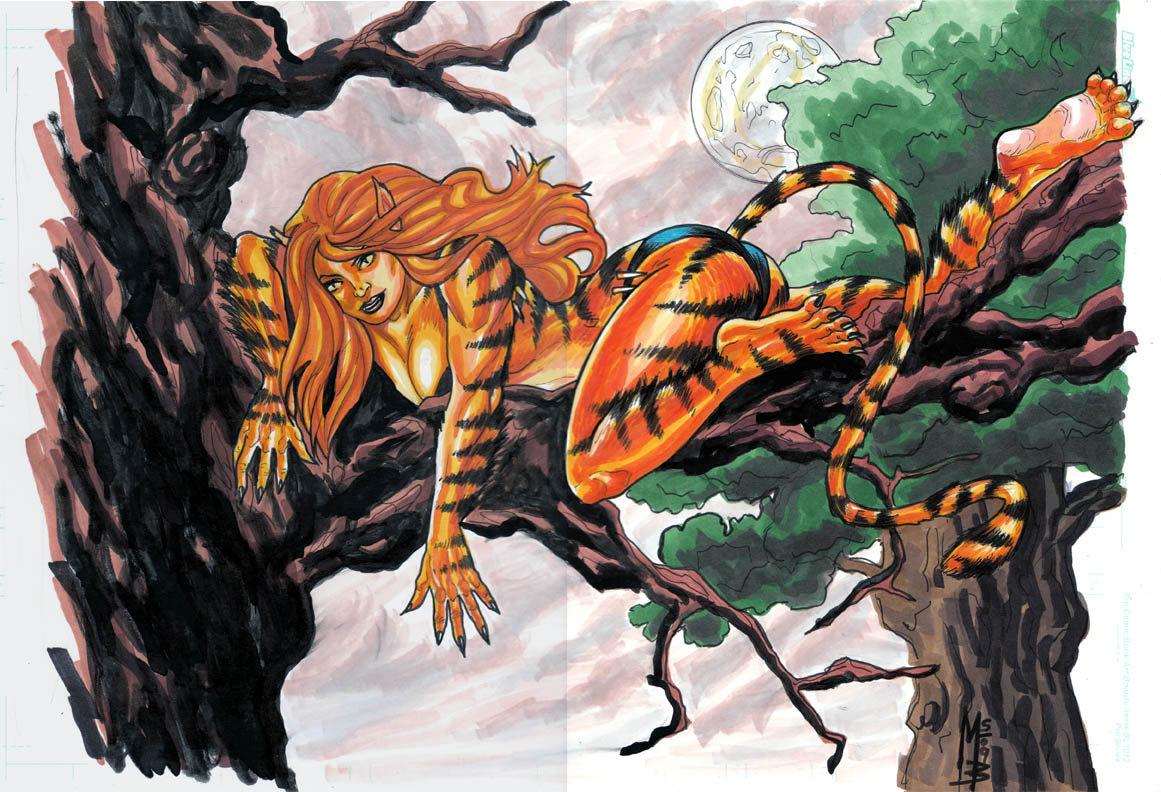 Picture of Tigra Marvel Wallpaper