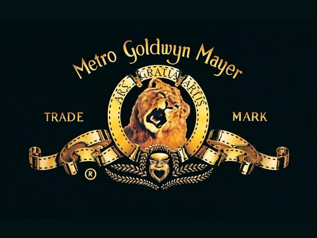 Mike Winston: Long MGM Holdings