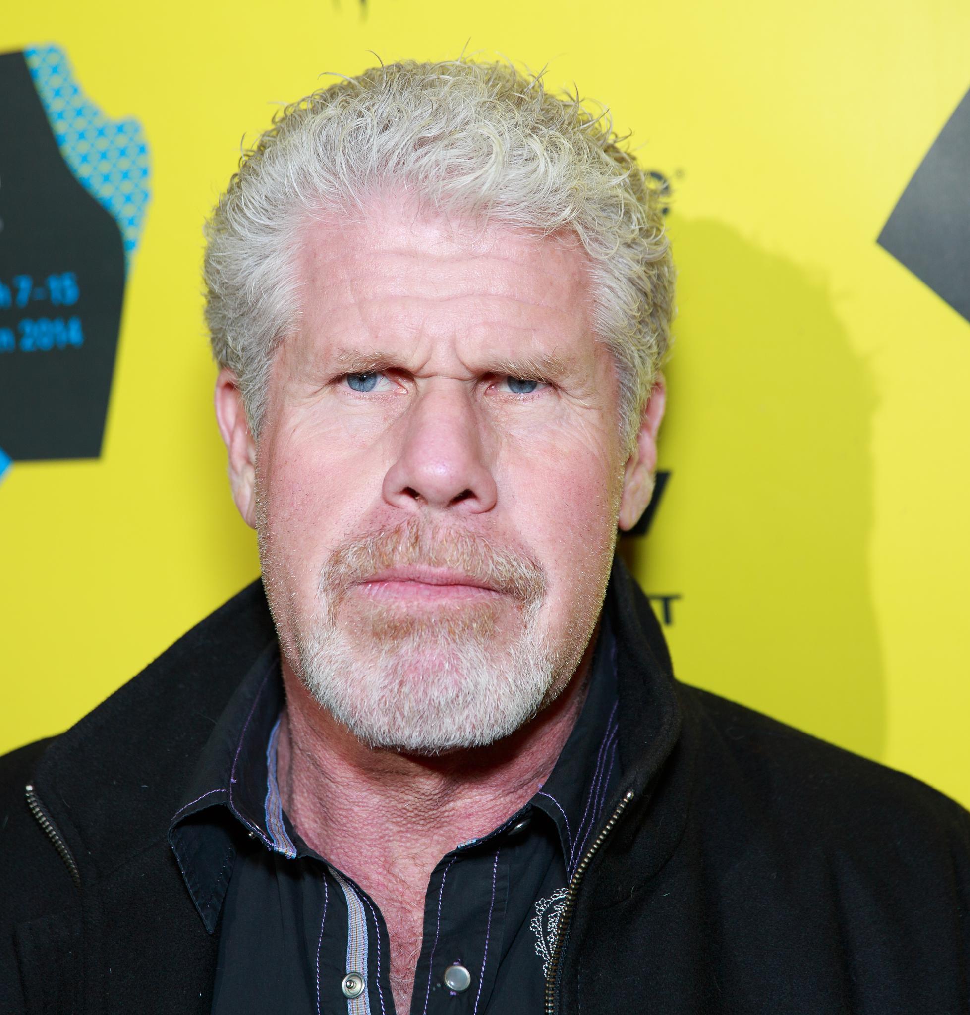 Picture of Ron Perlman, Picture Of Celebrities