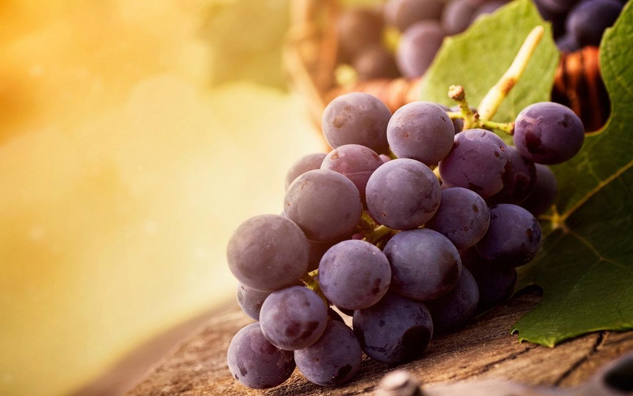 Grape Wallpaper for Android