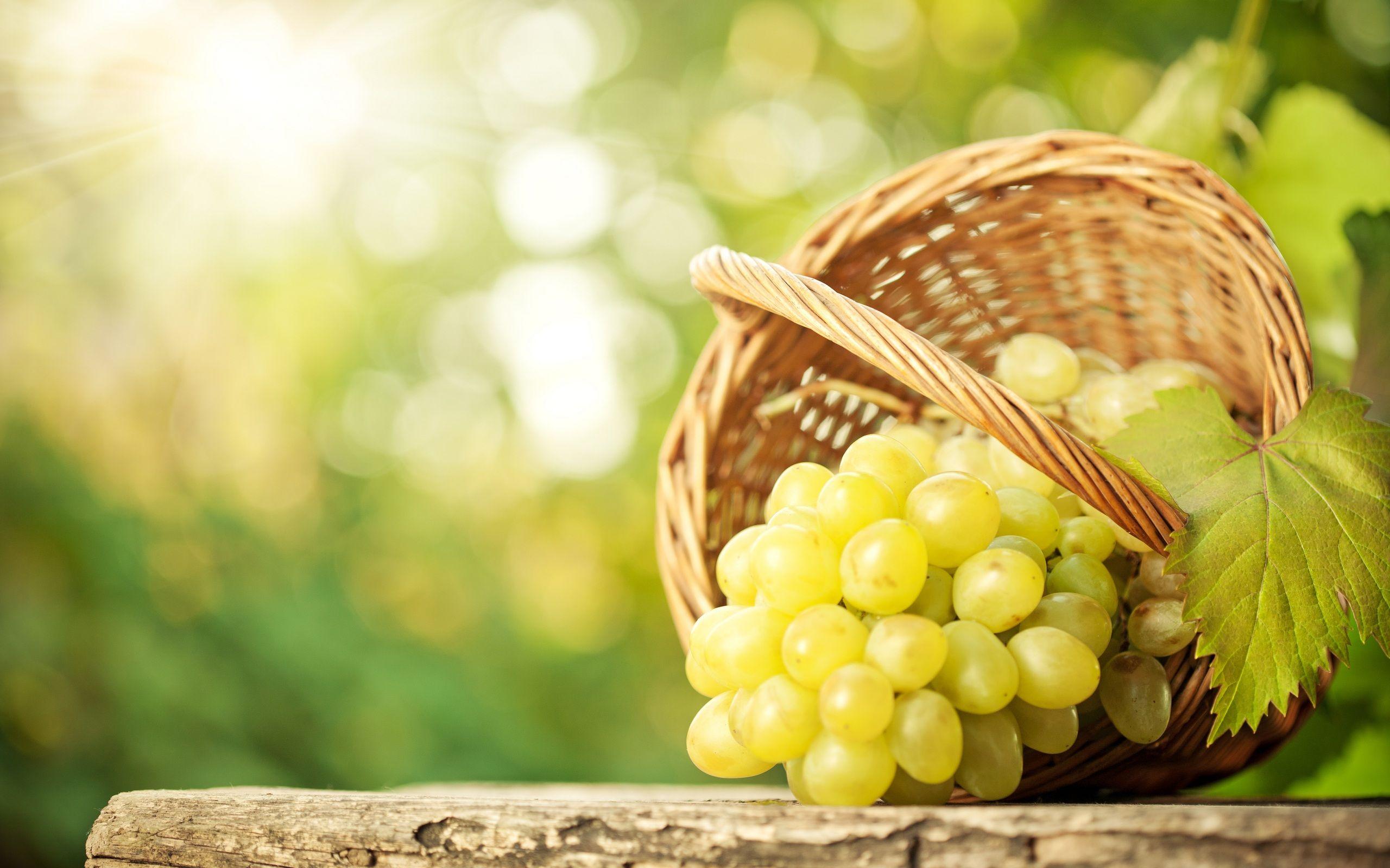 Grapes background wallpaper Royalty Free Vector Image