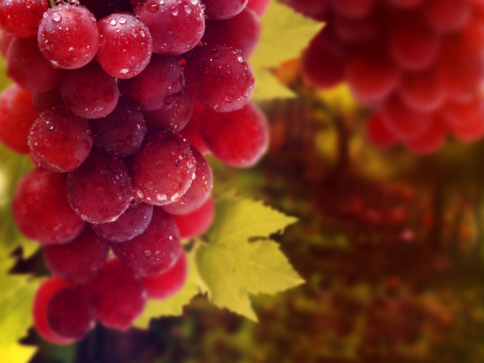 Red Grapes HD Wallpaper, Background Image