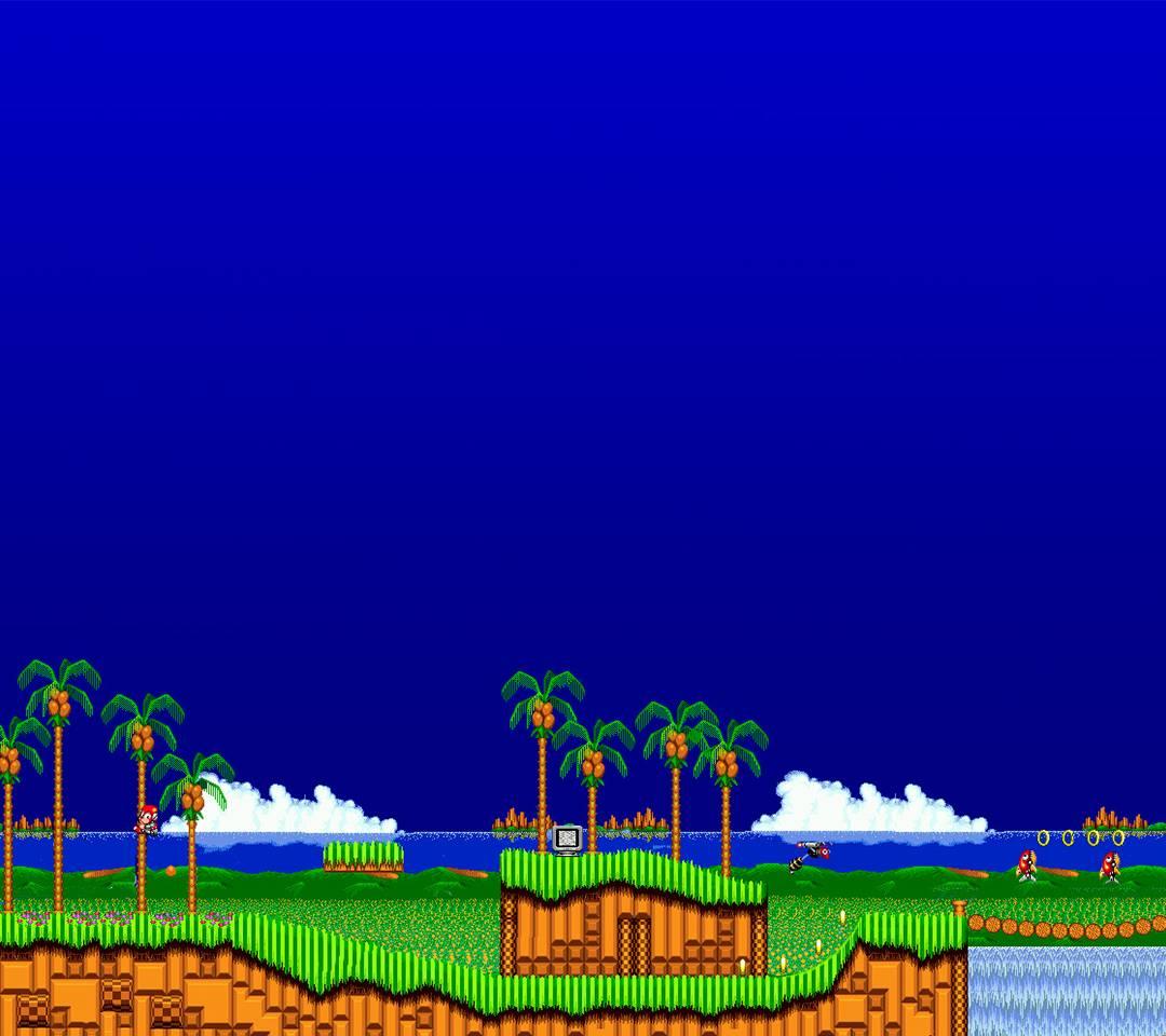 Download Green Hill Zone With A Loop Obstacle Wallpaper