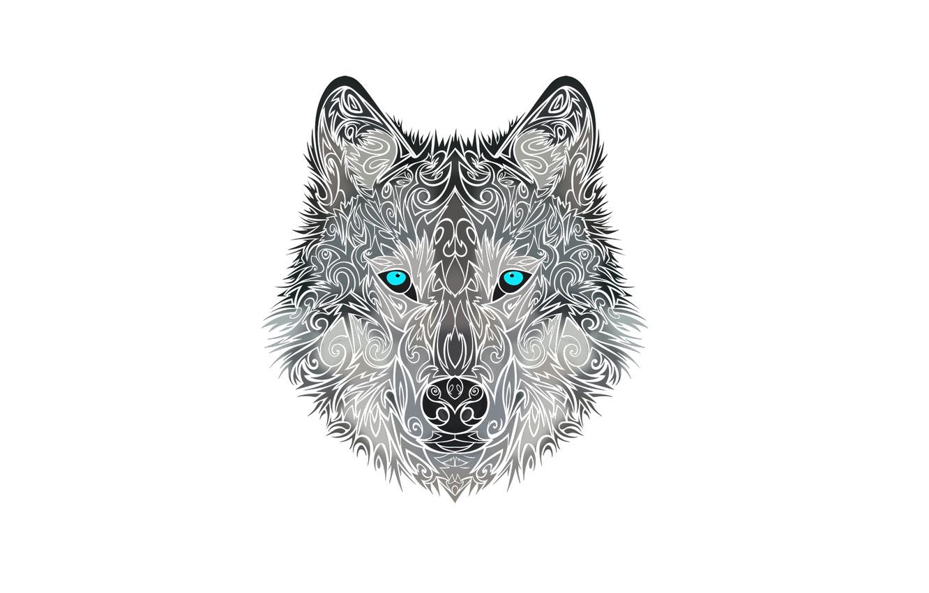 Wallpaper face, style, wolf, dog, head, wolf image for desktop