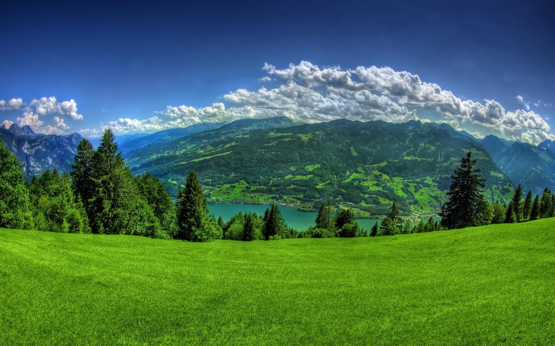 Green Hills Wallpaper background picture