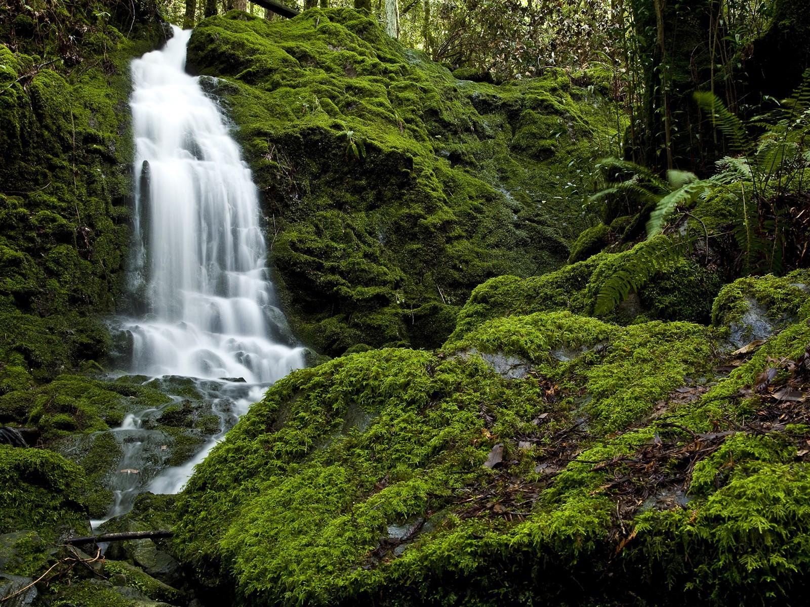 Waterfalls Refreshing Beautiful Nice Coo Best Refresh Full HD