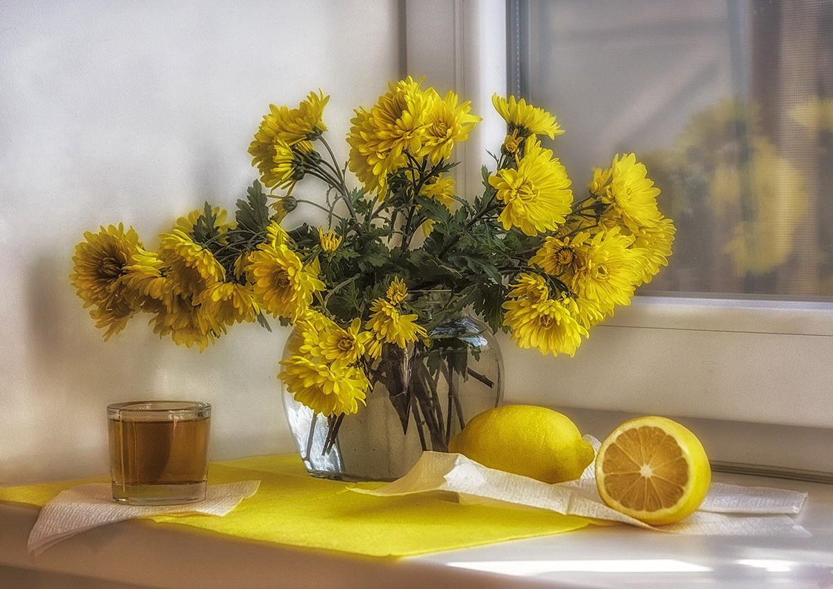 Flower: Refreshing Morning Flowers Photography Still Life Lemons