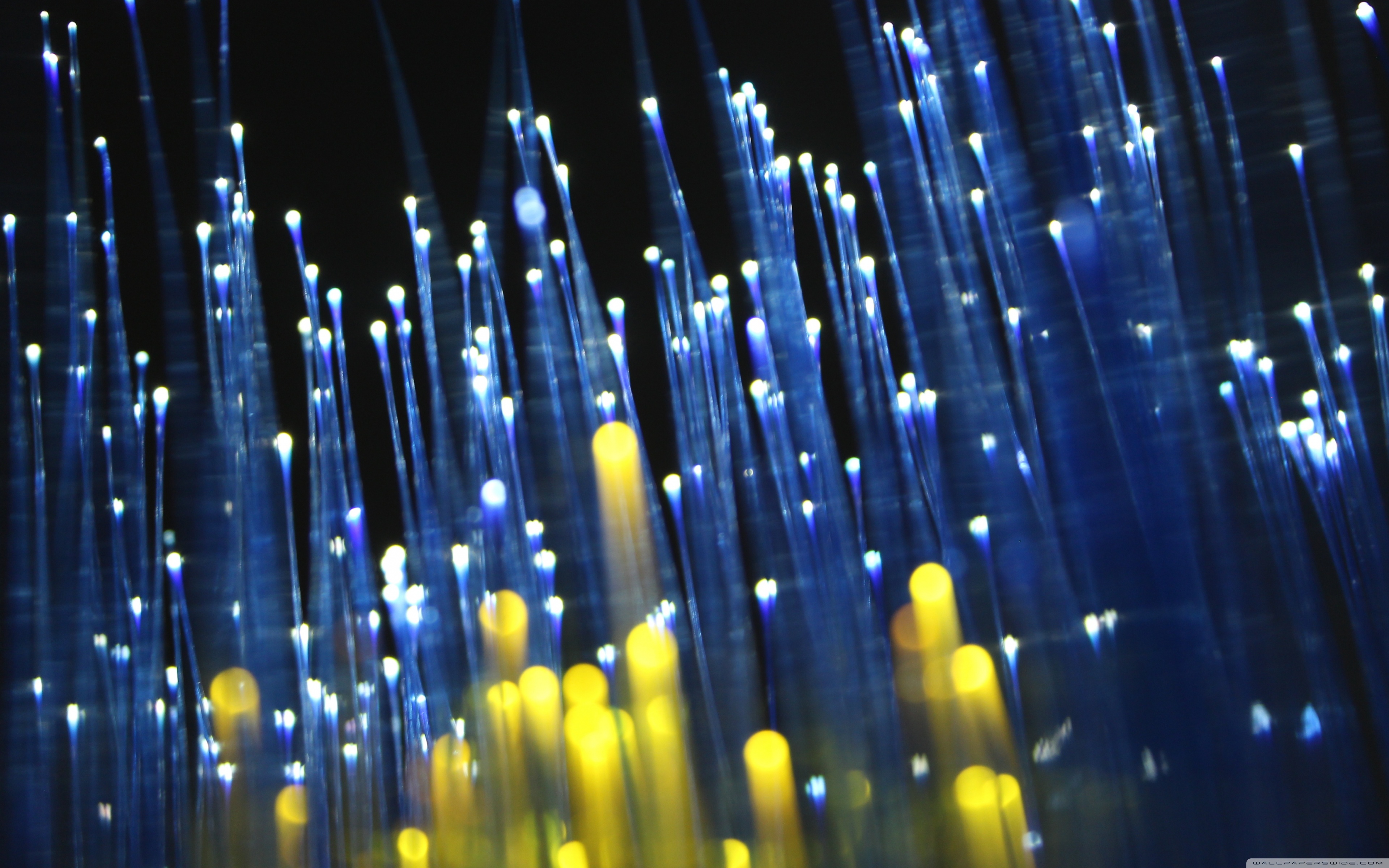 Optical Fiber ❤ 4K HD Desktop Wallpaper for • Wide & Ultra