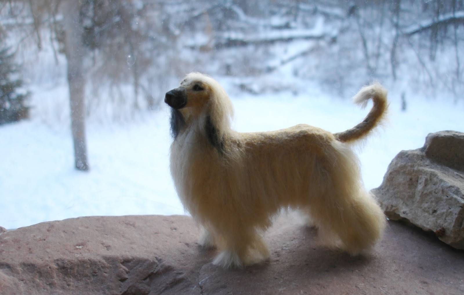 Afghan Hound Wallpapers - Wallpaper Cave