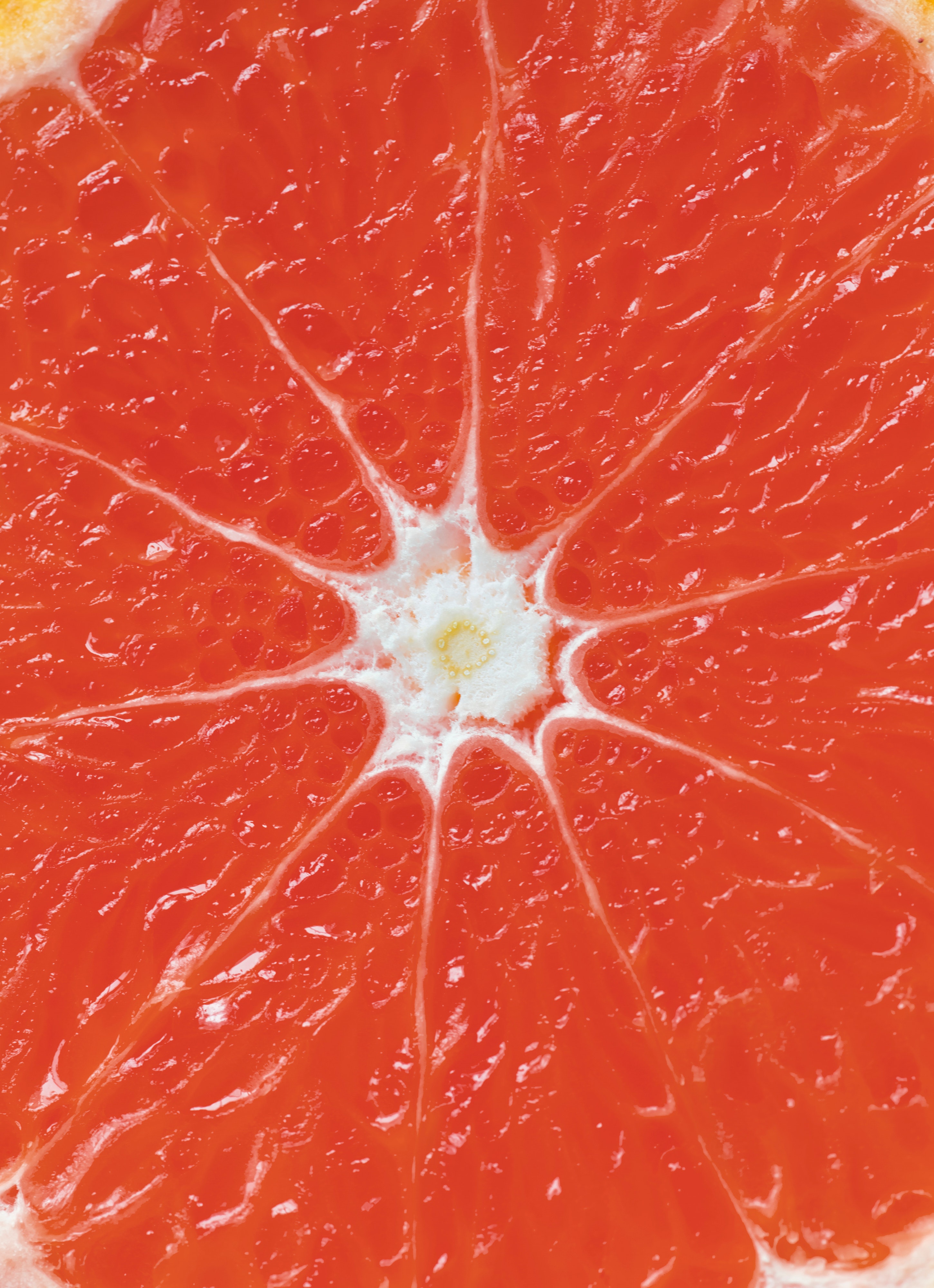 Beautiful Grapefruit Photo