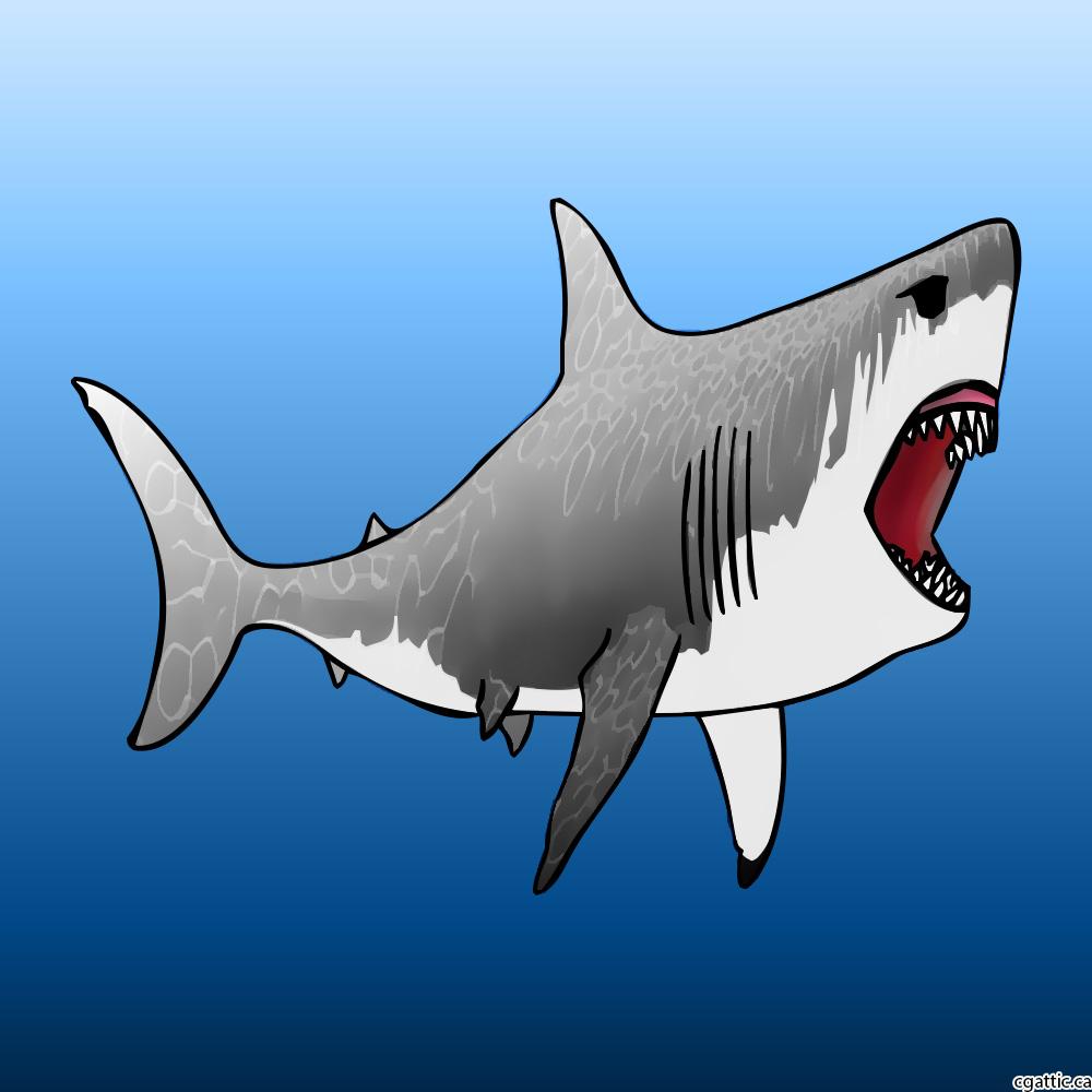 Bull Shark Drawing.com. Free for personal use Bull