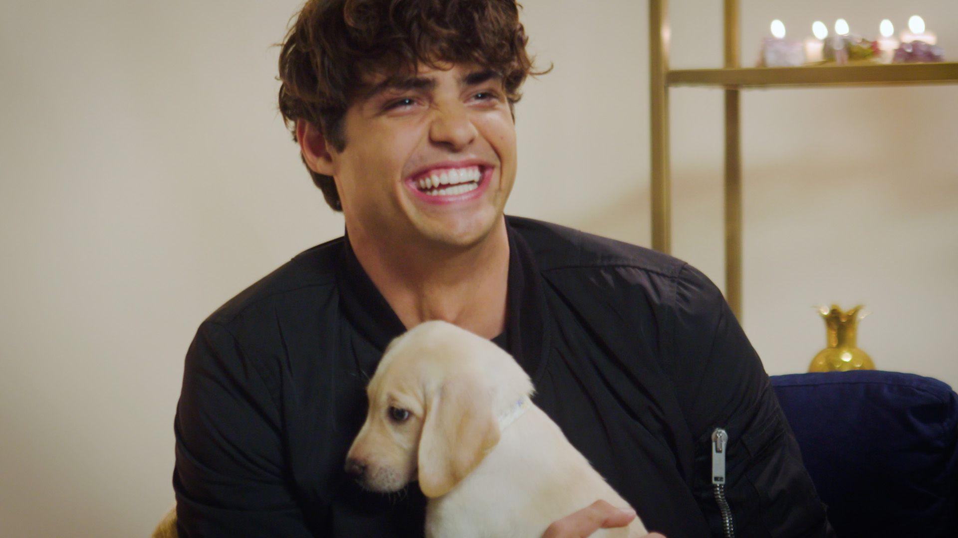 Noah Centineo Fun Facts Things About The Peter Kavinsky Actor