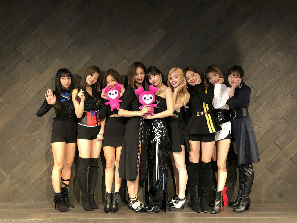 BDZ. Twice France Amino