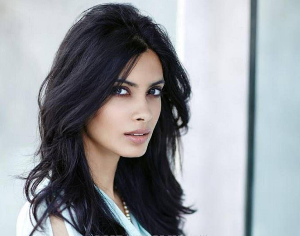Diana Penty New Image And Wallpaper HD