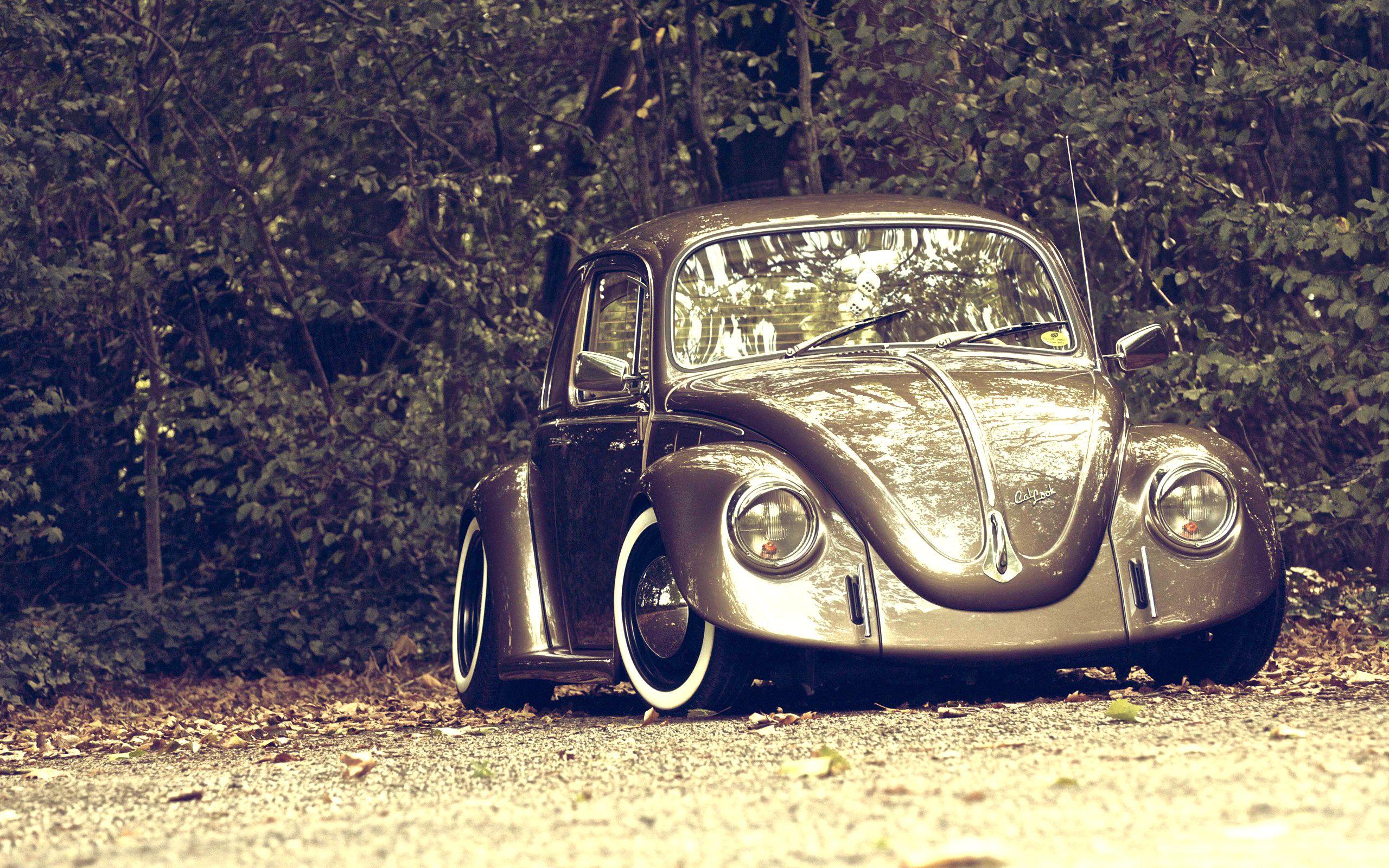 Volkswagen Car Beetle Wallpaper. Cars. Autos