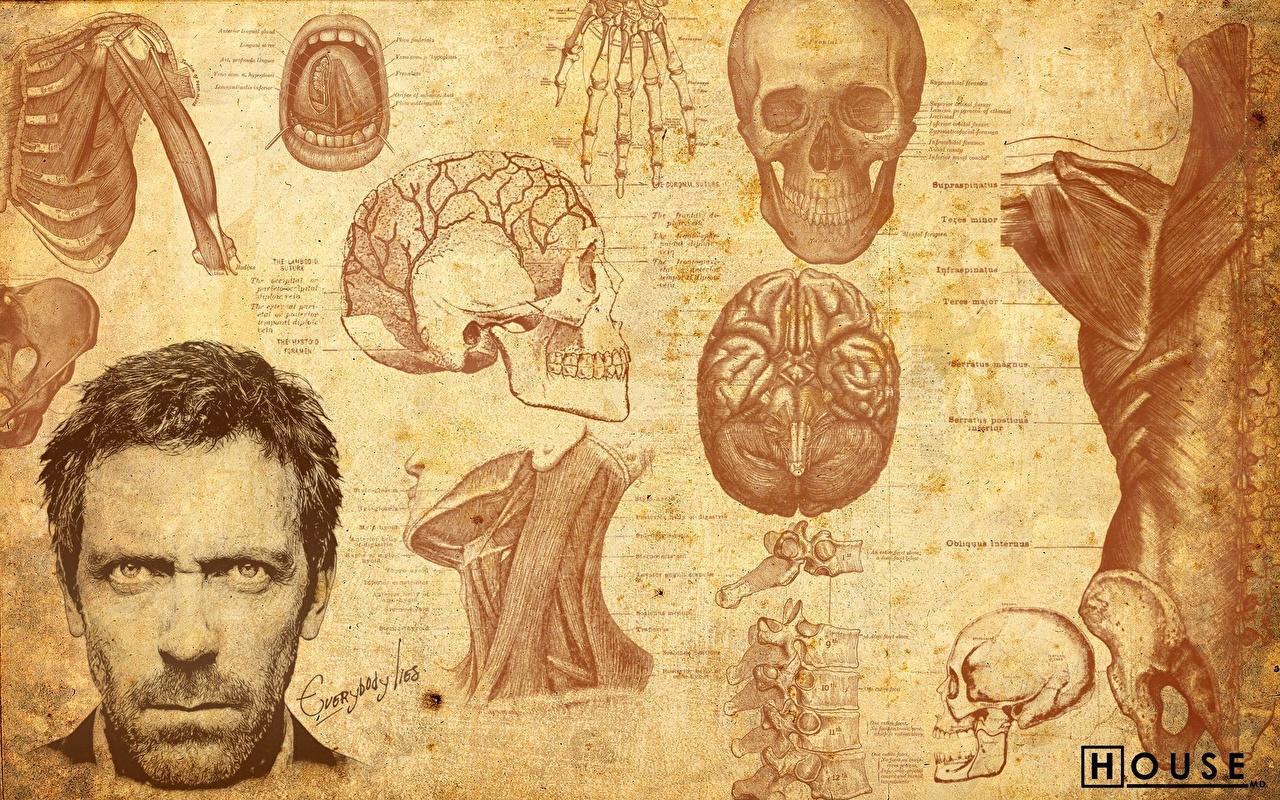 Wallpaper House, M.D. Hugh Laurie Movies