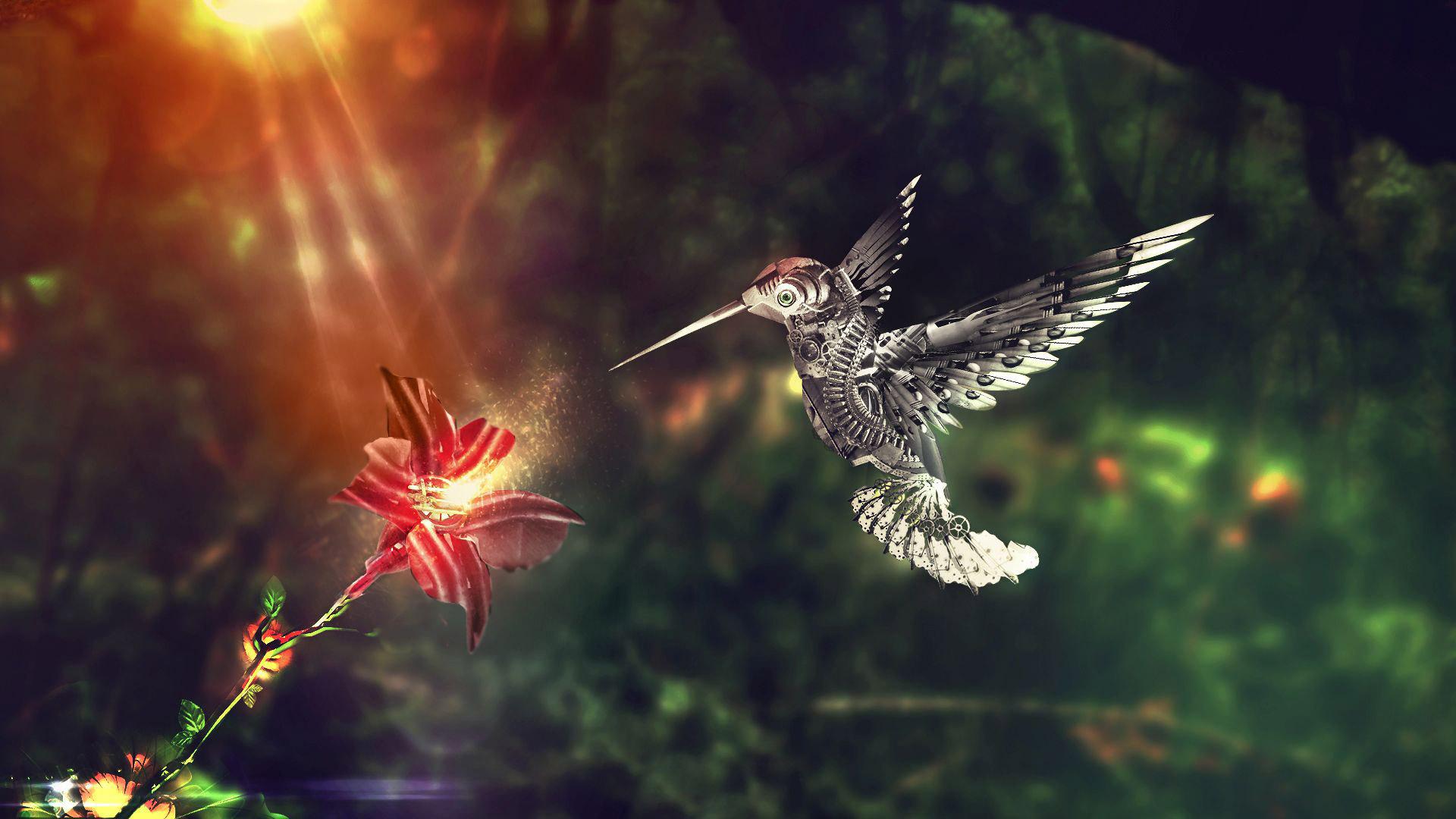 Birds Wallpaper