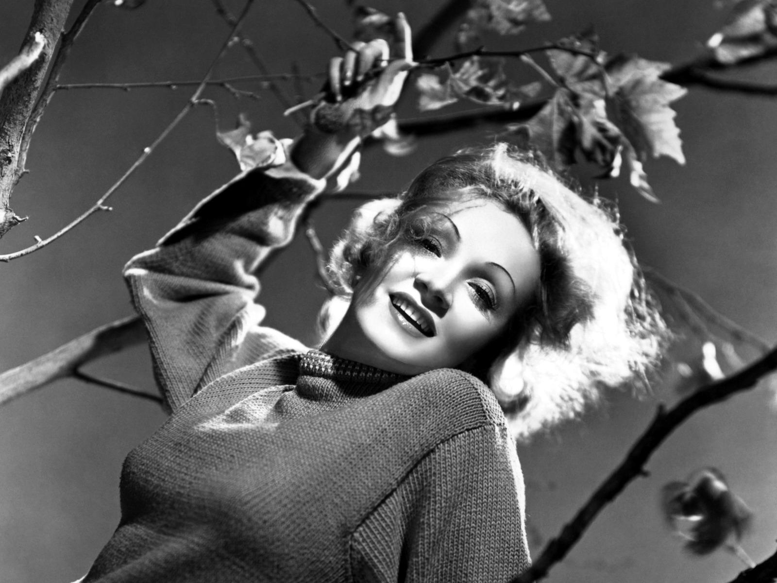 Photos Marlene Dietrich Celebrities