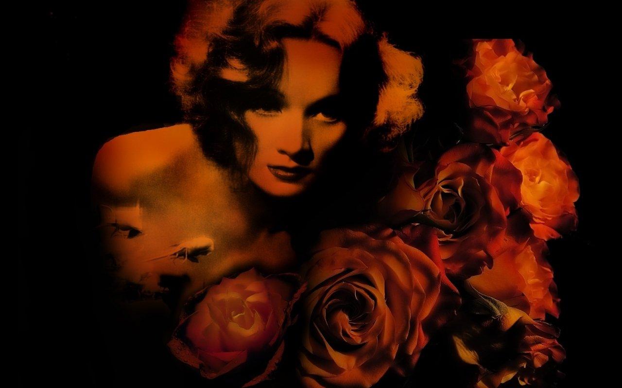 Marlene Dietrich Wallpaper and Background Imagex800