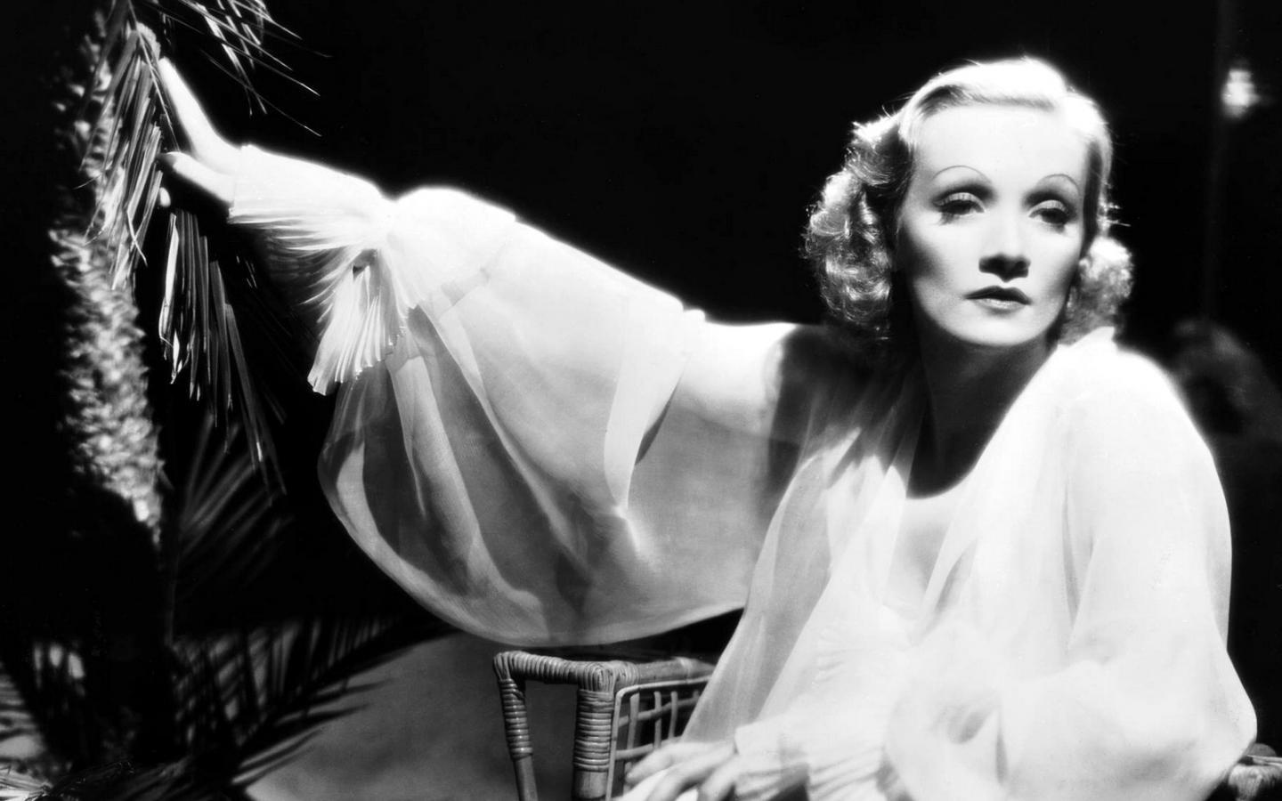 Marlene Dietrich Wallpaper 12 X 1200