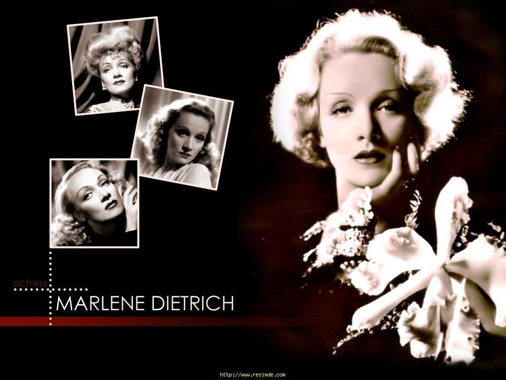 Wallpaper Zone Cool: Marlene Dietrich