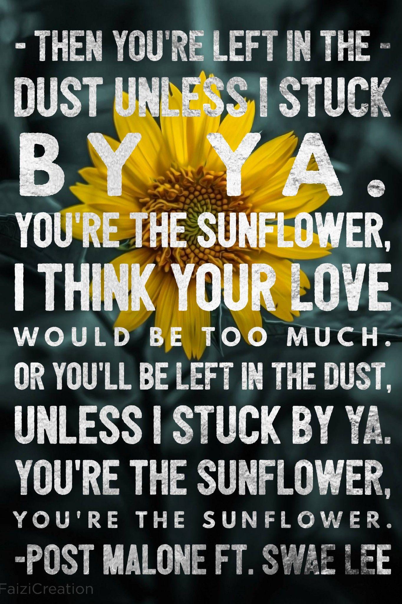sunflower lyrics meaning