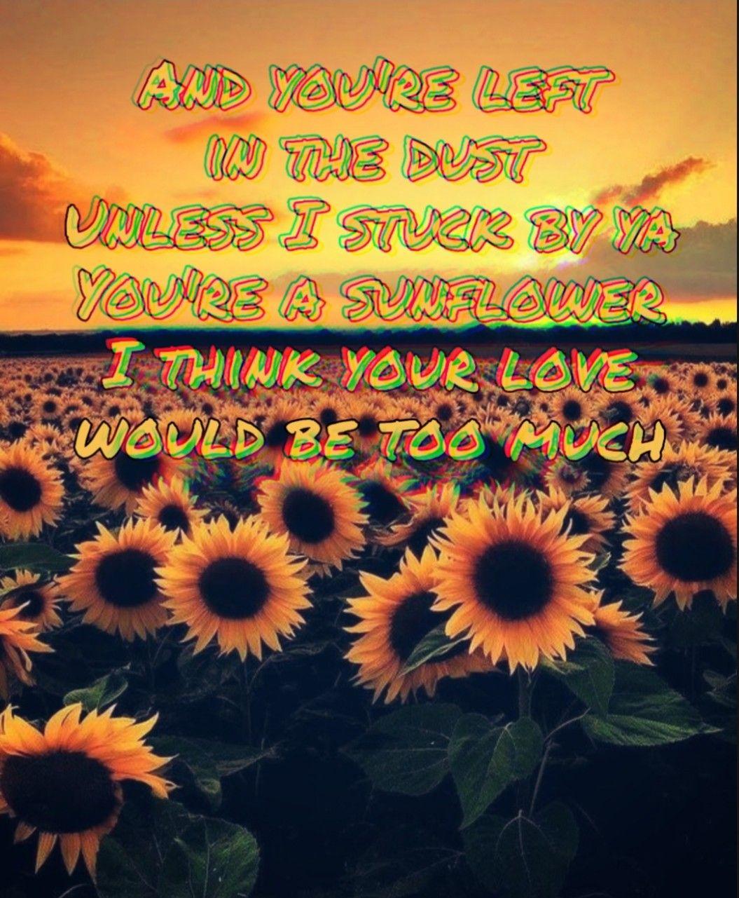 post malone sunflower lyrics meaning