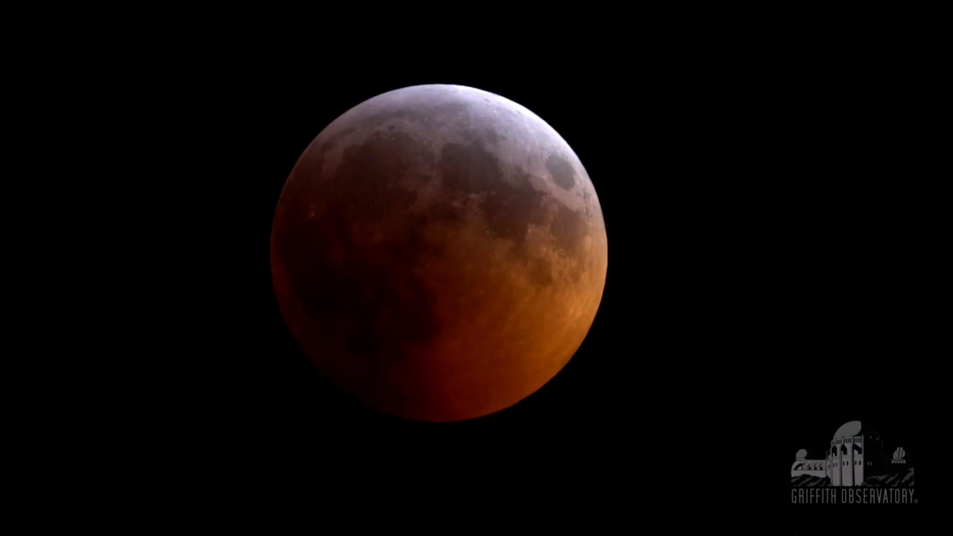 The Super Blood Wolf Moon Eclipse of 2019: A Red Lunar View!