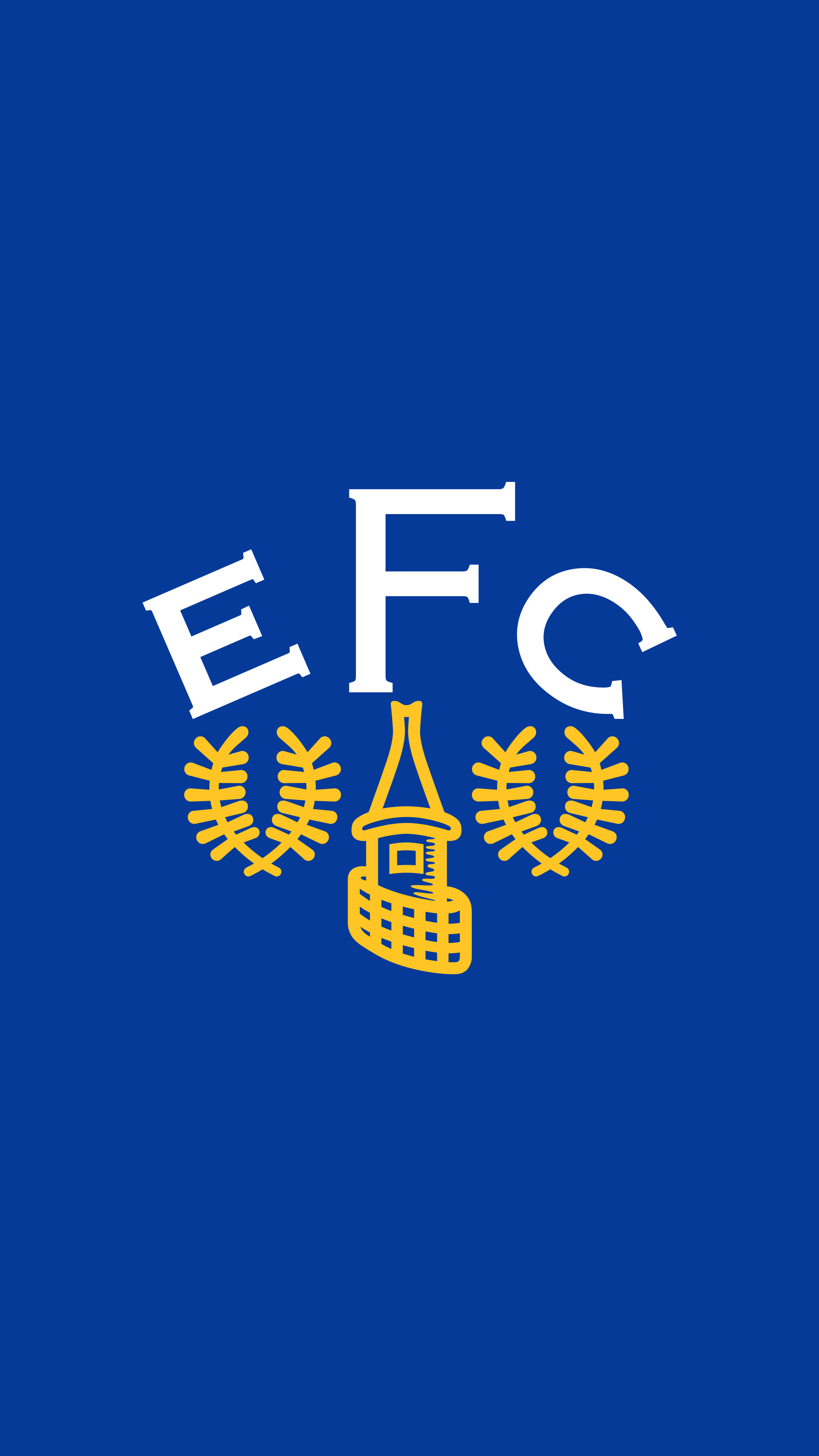 Football Club & National Team Logos