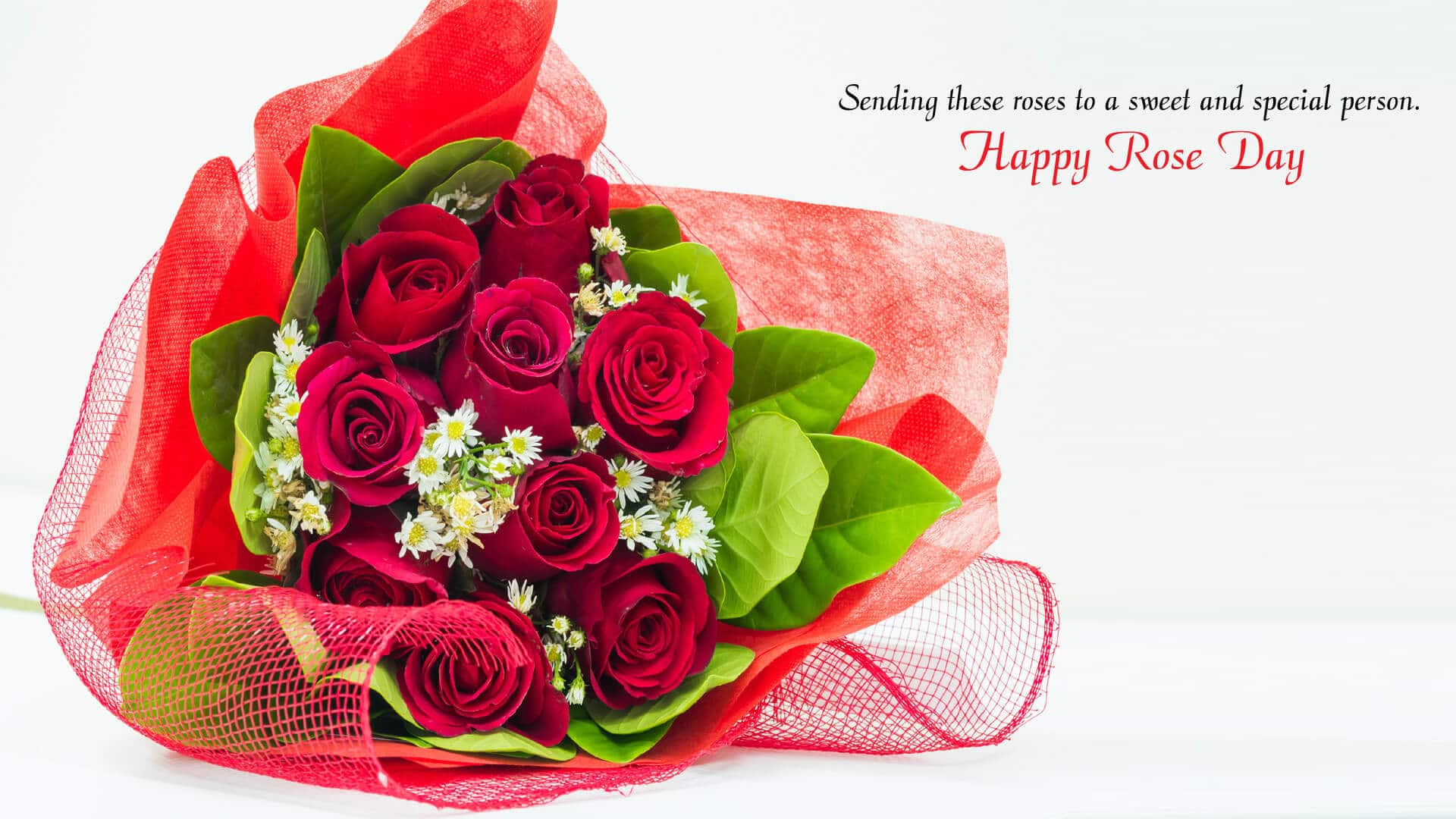 Happy Rose Day 2019 Image, Picture, Wallpaper In HD Free Download Now