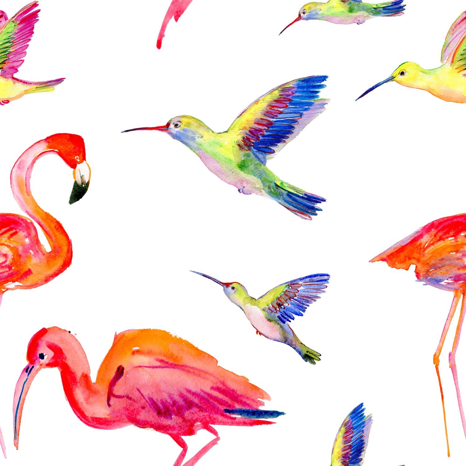 Tropical Birds Watercolour Wallpaper