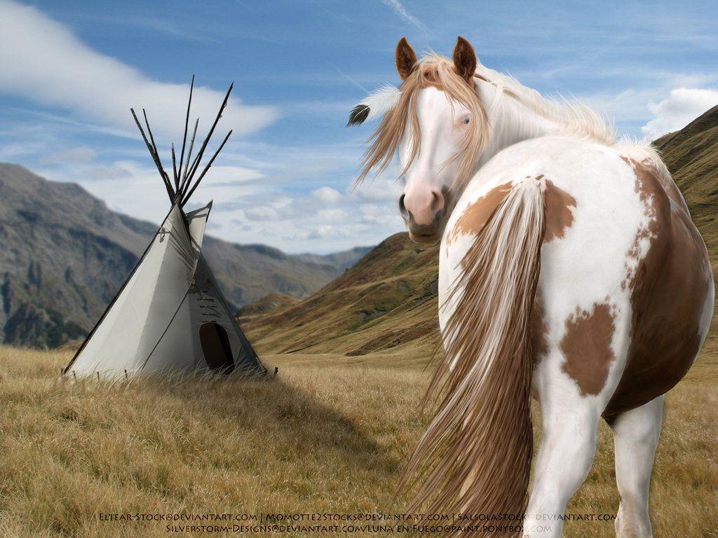 Native American Horses Wallpaper Free Native American Horses