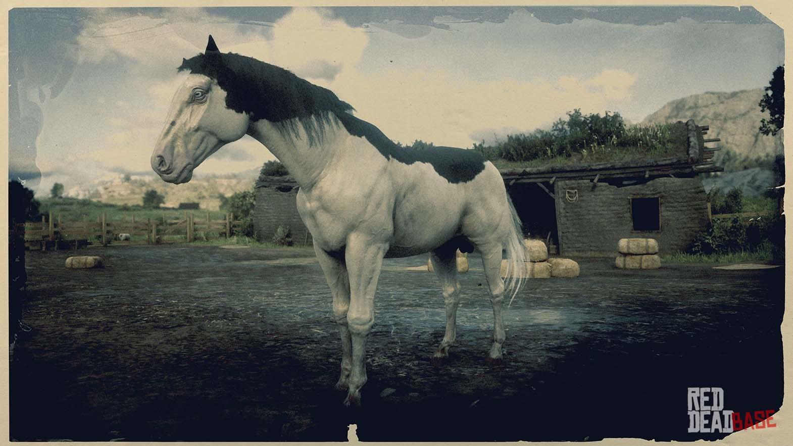 Splashed White American Paint Horse Dead Redemption 2 Horses