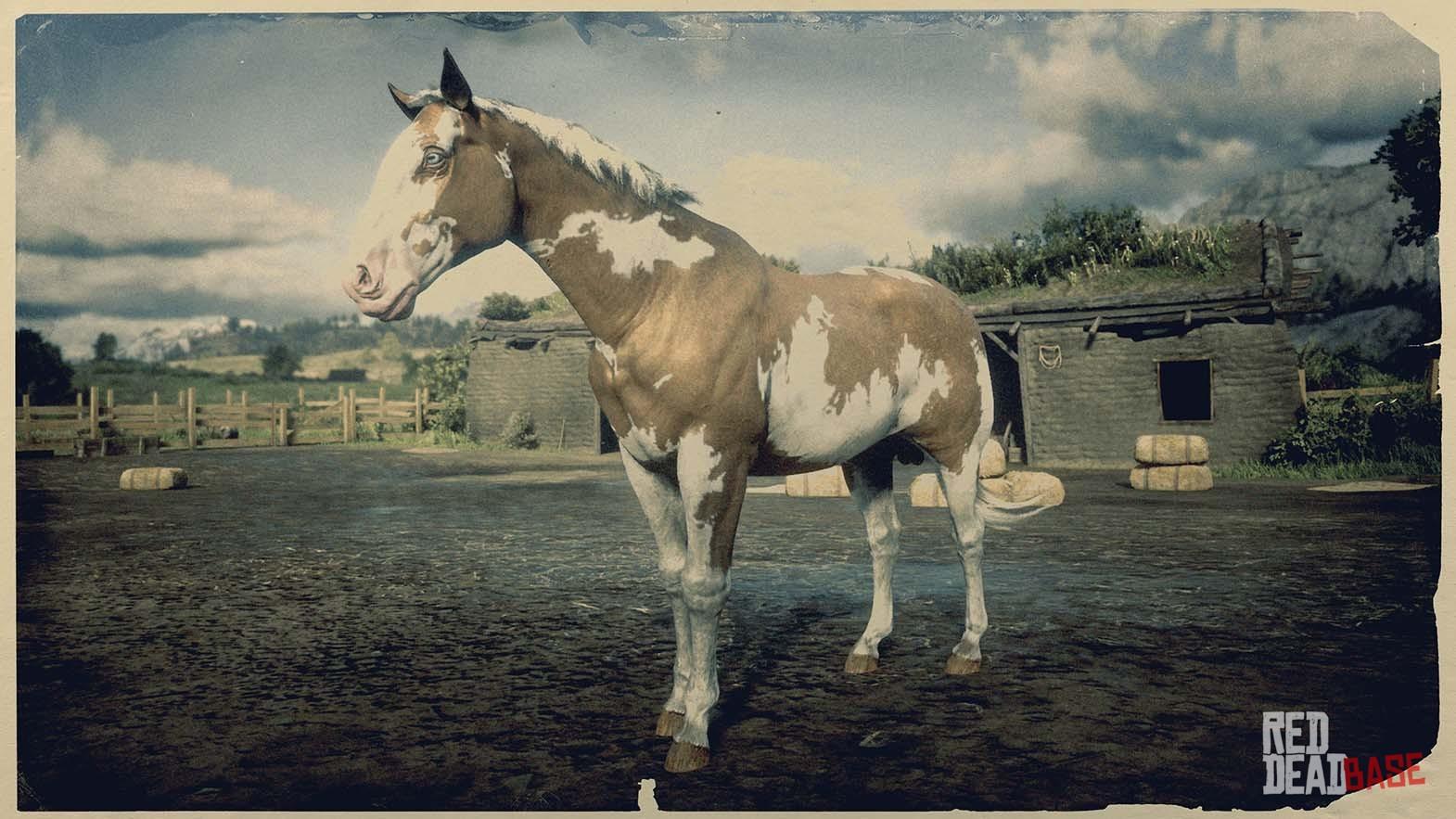 Overo American Paint Horse Dead Redemption 2 Horses Database