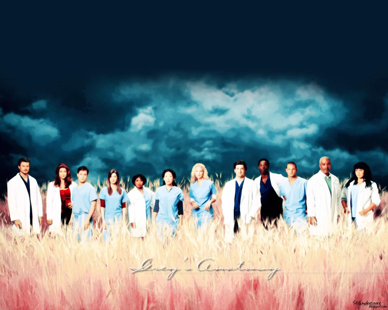 Grey's Anatomy Promo Picture Wallpaper. TV Fanart, Wallpaper & Icon