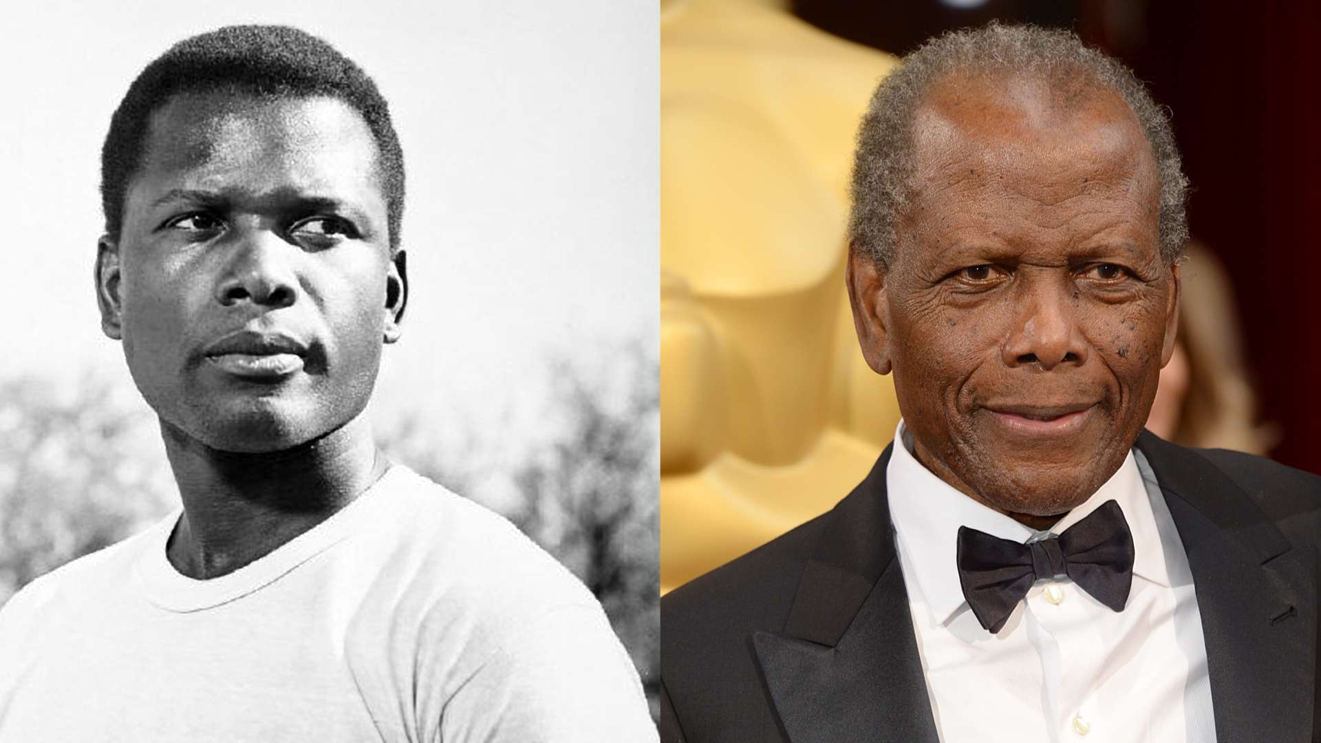 Sidney Poitier: a life in movies