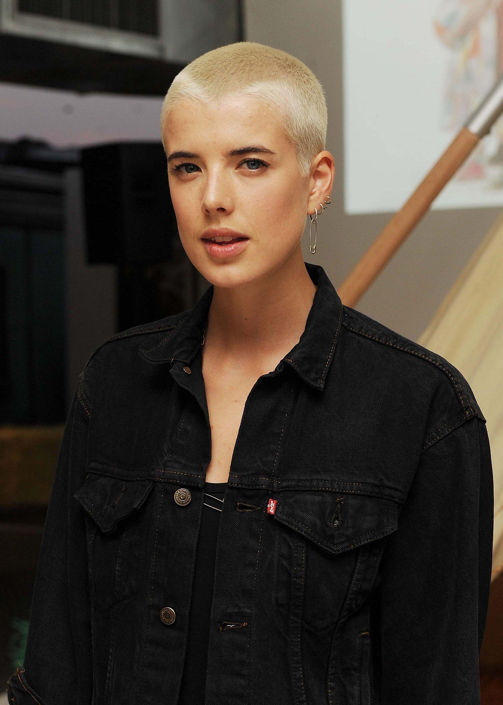 Picture of Agyness Deyn 2017