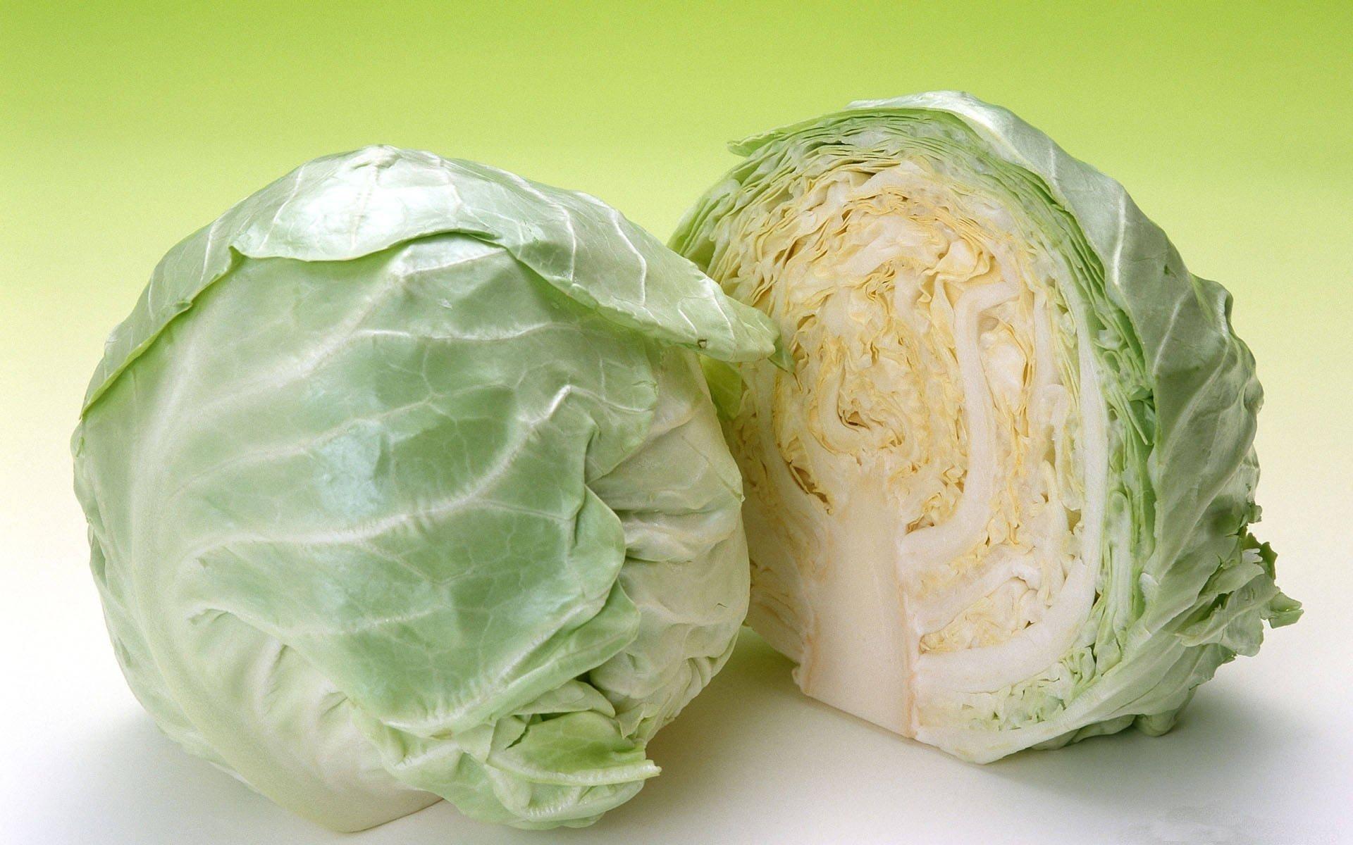 Cabbage HD Wallpaper and Background Image
