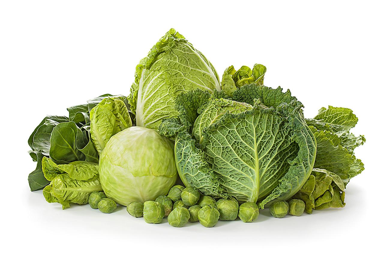 Wallpaper Cabbage Food Vegetables