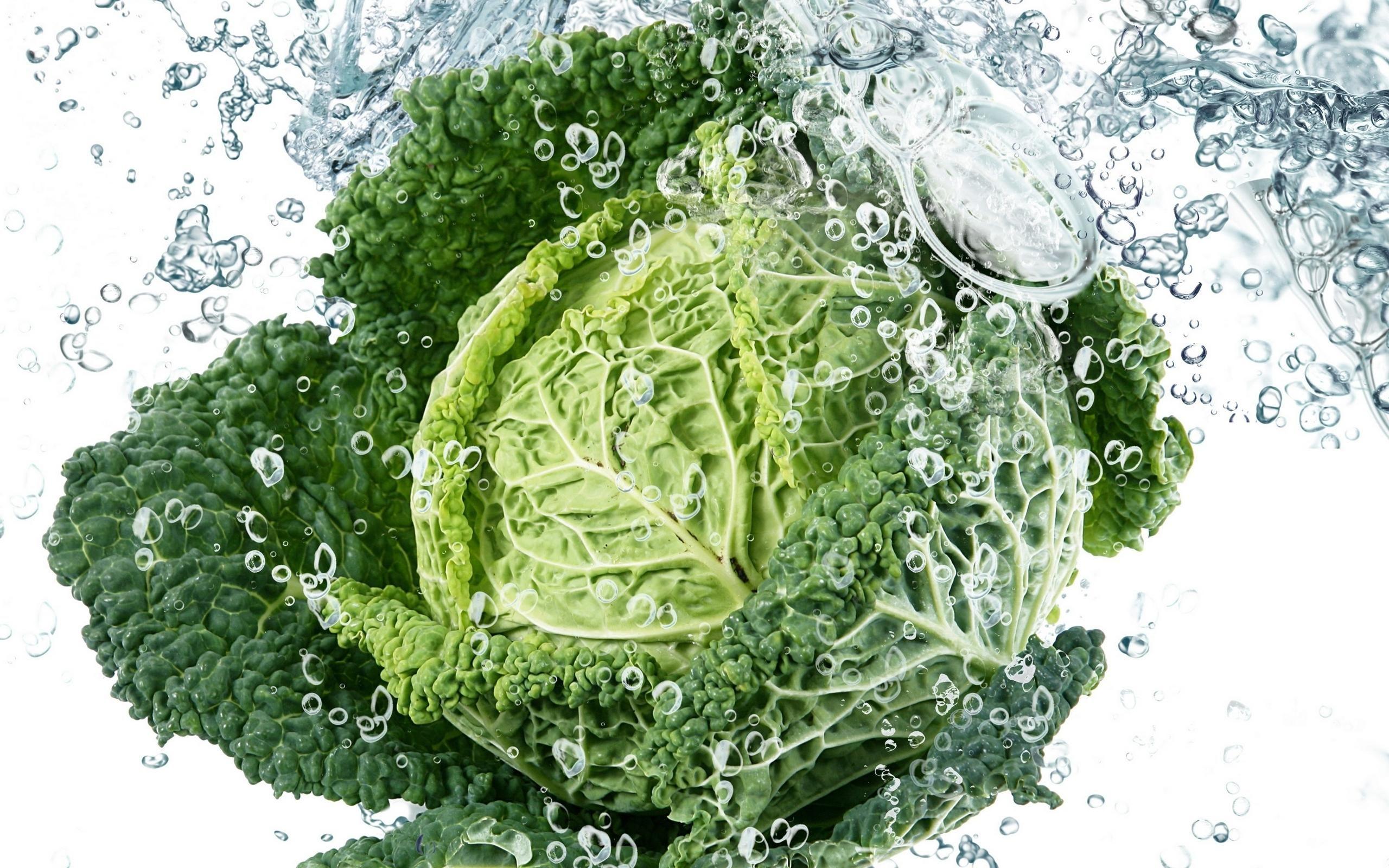 Vegetable_cabbage_green_leaves_water_spray_hd Wallpaper 83944