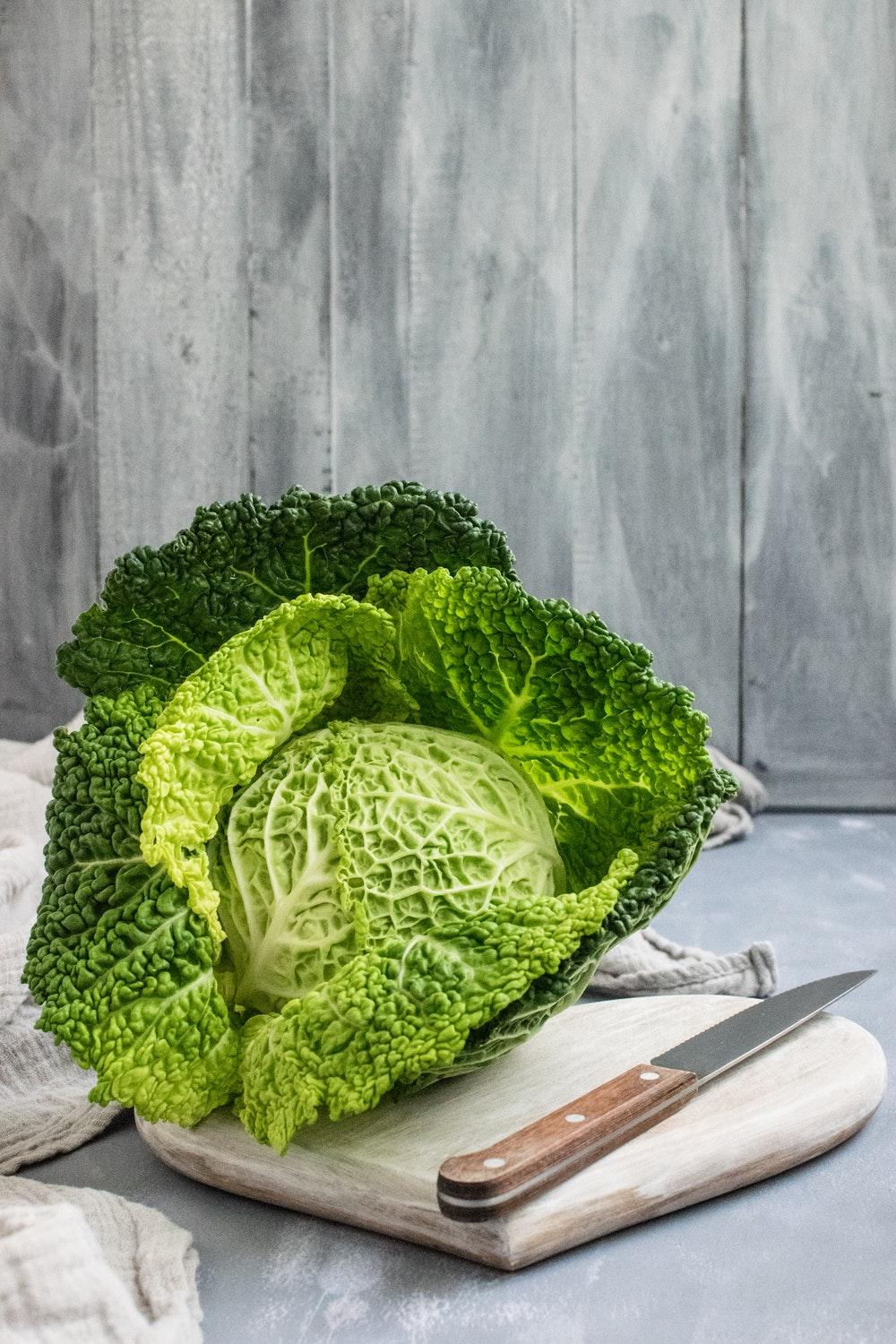 Cabbage Picture [HD]. Download Free Image