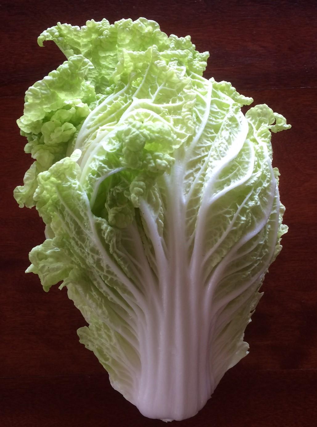 Chinese Cabbage Wallpaper High Quality