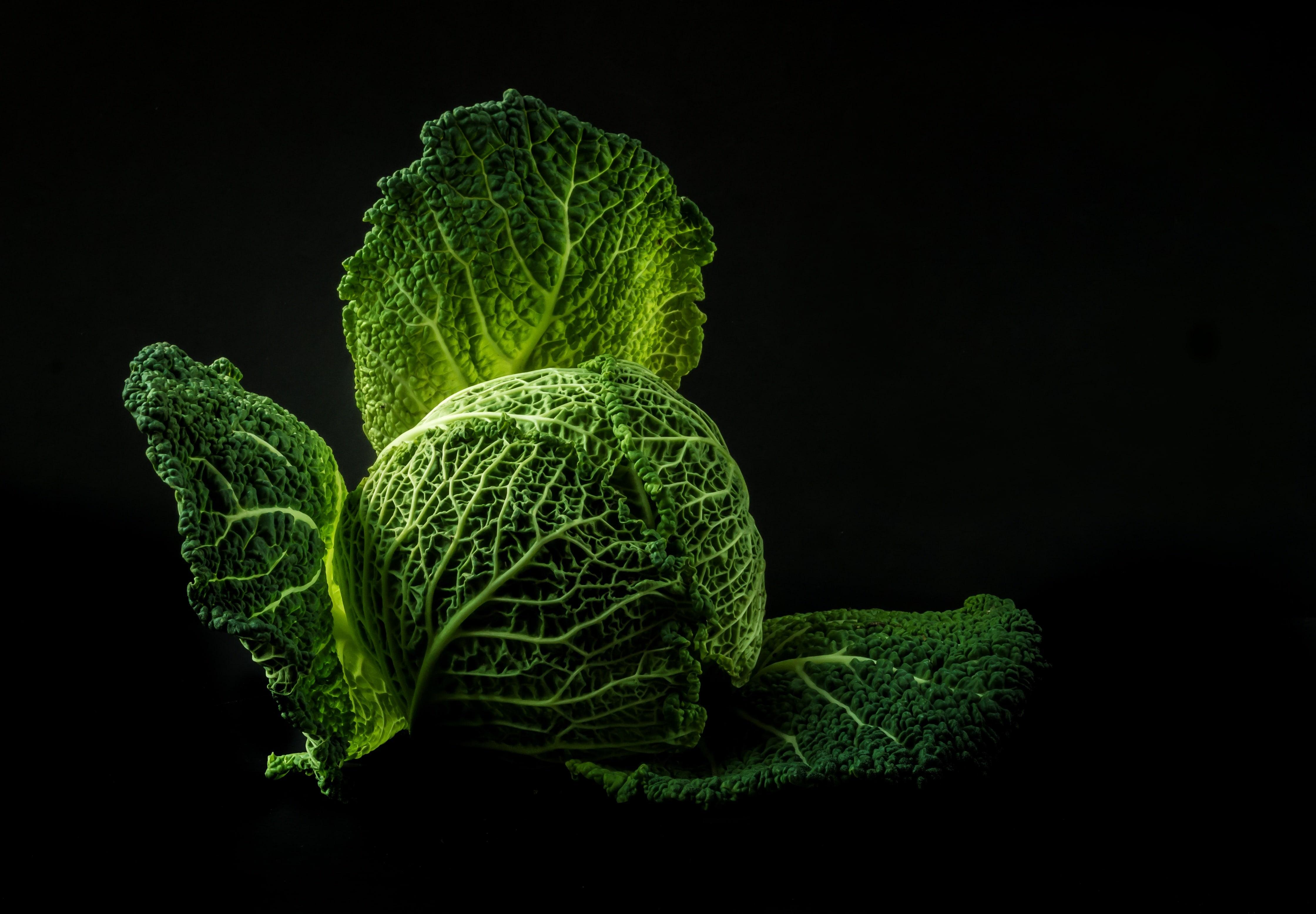 Vegetables Cabbage Forget Old Wallpaper and Free
