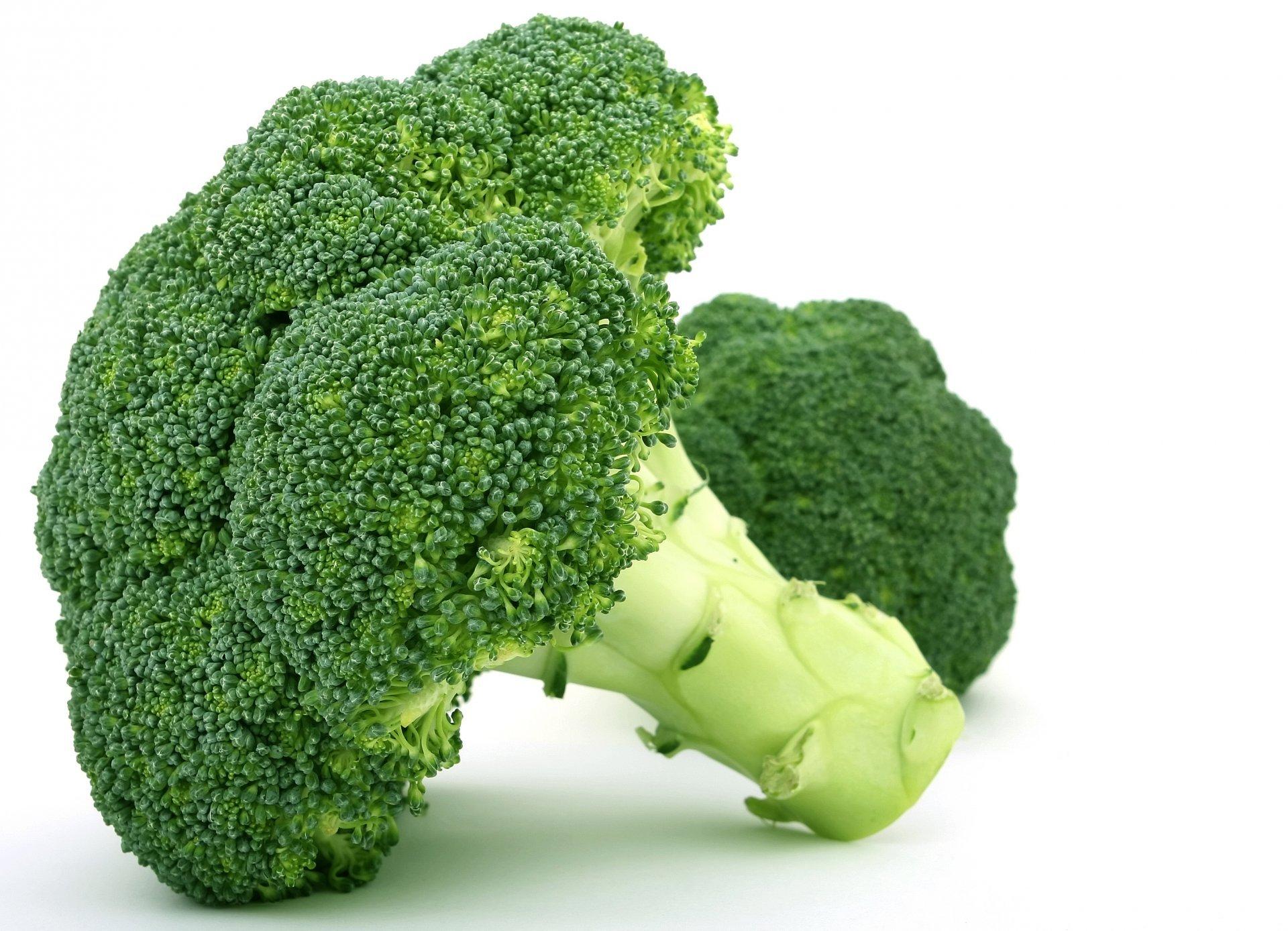 broccoli cabbage HD wallpaper