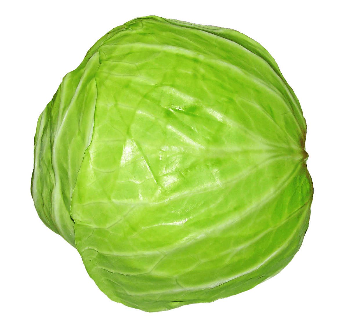 Cabbage PNG Image1. PNG Transparent best