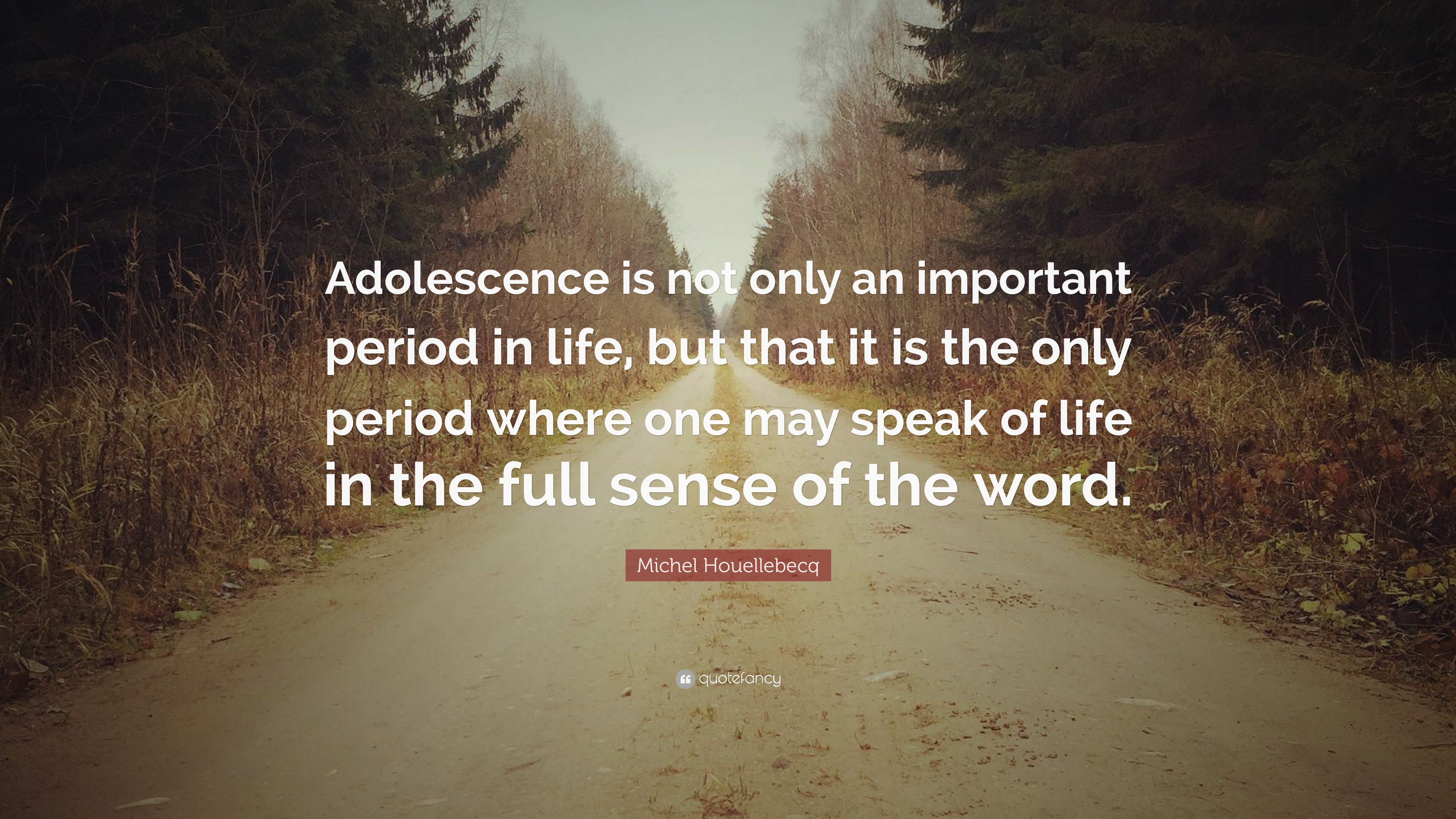 Michel Houellebecq Quote: “Adolescence is not only an important
